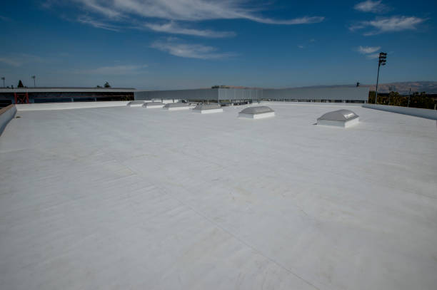 Best Roof Leak Repair  in Holgate, OH